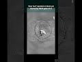 bear face spotted on mars pic shared by nasa goes viral