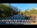 버스 꿈해몽 버스꿈 버스 놓치는꿈 버스 첫차 타는 꿈 고속버스 꿈 버스정류장꿈 버스 운전하는 꿈 버스 타는 꿈 버스 파업 하는 꿈 버스 꿈 예언 예지몽