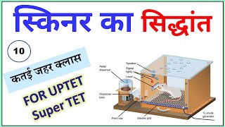 स्किनर का सिद्धांत/ Skinner ka sidhhant in hindi / Bal vikas for UPTET, Super TET 2021