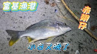 【游刃有魚】第2竿就開胡 又被東走是花軟 今年白帶魚又晚了 全場都在趴 母光狗母梭大咬 赤翅仔 天竺鯛 成仔丁 黑貓仔 鐵板 磯釣 沉底 天亞 岸拋 米諾 路亞 軟蟲 #fishing #游刃有魚