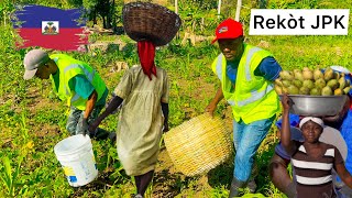 🆘ANMWEYYY🙆‍♂️BON NOUVÈL🤗YAP REKÒLTE PWA JPK A JODIA✊🇭🇹| ANPIL GWO KÈ KONTAN|LIBERASYON POU BWAKALE🙏