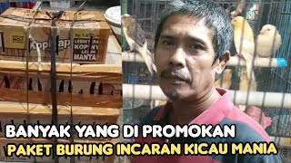 BURUNG YANG SEPERTI INI YANG PALING DI SUKAI KICAU MANIA GAMPANG PERAWATAN NYA.BANYAK PROMO