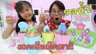 ปลูกตุ๊กตา!! จากกระถางต้นไม้! เซอร์ไพรส์สุดๆ!!! | Blume | แม่ปูเป้ เฌอแตม Tam Story