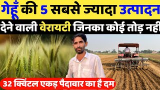 गेहूँ की 5 सबसे ज़्यादा उत्पादन देने वाली वैराइटी | Gehu ki sabse best variety 2022 | Gehu ki kheti