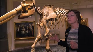 "Alexander von Humboldt and the United States: Art, Nature, and Culture" Curator's Video Tour