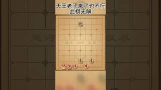 大王老子来了也不行 此棋无解 #象棋 #中国象棋 #象棋残局