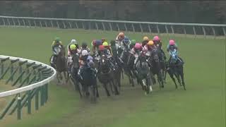 2022.11.13 Queen Elizabeth II Cup (JPN) - Geraldina