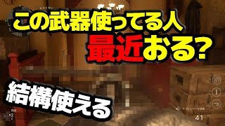 【CoD:WW2実況】誰も使わなくなった強武器使って無双〈ぬいさんぽ〉