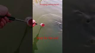 how to catch fish by syrup? amazing fish hunting method #shorts #fishing #viralshorts #gooster