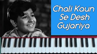 Chali Kaun Se Desh Gujariya Tu Saj Dhaj Ke | Boot Polish | On Harmonium |