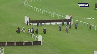 Incredible renewal of Cheltenham's Shetland Pony Grand National