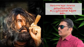 Marijuana legal  America / அமெரிக்காவில் சட்டபூர்வமான கஞ்சா கடை