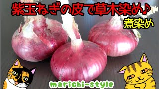 【捨てちゃうなんて、勿体ない】赤紫の皮で染める野菜染めのやり方！ショートver.