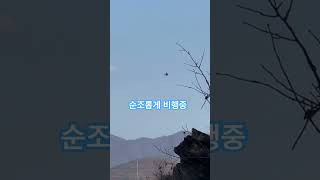 RC Airwolf crash 에어울프 추락#알씨헬기추락#Flywing AIRWOLF CRASH#플라이윙 에어울프 추락#rchelicopter crash