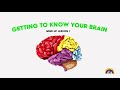 Mind Up Lesson 1 | Getting to Know Your Brain