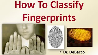 How To Classify Fingerprints