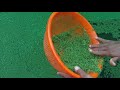 tilapia fish farming in kerala. എങ്ങനെ മത്സ്യ കൃഷി തുടങ്ങാം