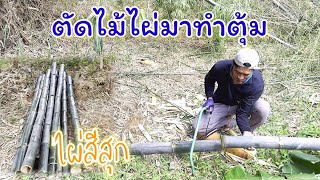 ตัดไม้ไผ่มาทำตุ้ม​ สานตุ้ม​ดัก​ปลาตะเพียน​EP.37