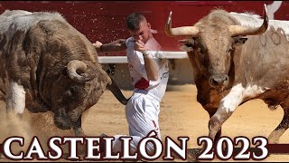 🤩 ¡Espectaculares Toros de Palha y Prieto de la Cal! · Concurso Recortes Castellón · Magdalena 2023