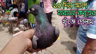 হাঁটে গিয়ে হারানো কবুতর খুঁজে পেলাম