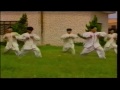 chen style tai chi cannon fists by wang xian instructor group