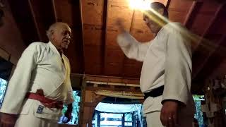 Video # 15 Bunkai of wansu demonstrated by Sensei Nick Flores and Clarence Lewinski