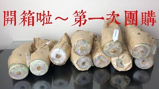 兰花-开箱啦！第一次团购，围观看看我买了什么 Check it out see what orchids I bought