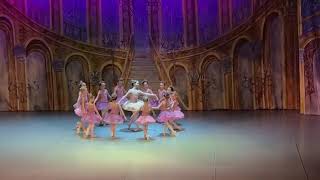 Детский балет Щелкунчик. Балетная школа Вежновец
