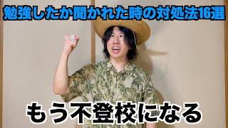 テスト当日に「勉強した？」と聞かれた時の回答16