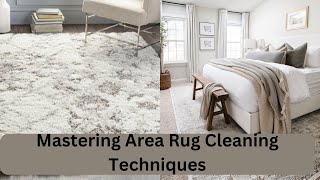 Bissell Rug Doctor Mastering Area Rug Cleaning Techniques