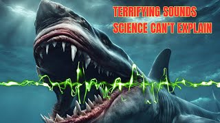 5 TERRIFYING Sounds Science STILL Can't Explain | #5 Will HAUNT You