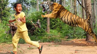 tiger attack man in the forest | tiger attack in jungle, royal bengal tiger attack