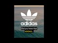 Did you know that ADIDAS...