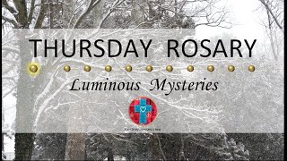 Thursday Rosary • Luminous Mysteries of the Rosary 💚 January 25, 2024 VIRTUAL ROSARY - MEDITATION