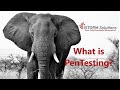 An introduction to penetration (pen) testing