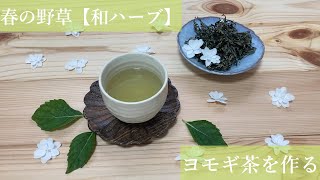 【野草・和ハーブ】よもぎ茶を作る/mugwort tea