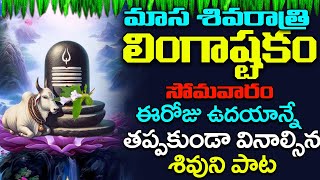 BRHMA MURARI SUVARCHITA LINGAM | LINGASHTAKAM | LORD SHIVA POPULAR STOTRAS | LORD SHIVA SONGS