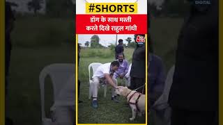 Bharat Jodo Yatra के दौरान Dog के साथ मस्ती करते दिखे Rahul Gandhi | #shorts