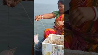 বরশির দোনে শংকর মাছ পেলাম #new #fish #bengali #fishing #shorts