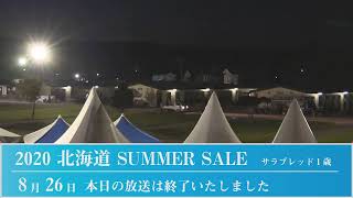 2020 北海道サマーセール ２日目 セール生中継