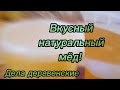 МЕДОВОЕ НАСТРОЕНИЕ 🍯👍Лето пасека пчёлы мёд