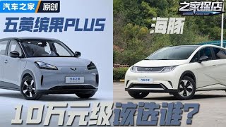 10万RMB级#五菱缤果PLUS VS #海豚 该选谁?#autohome 【汽车之家】