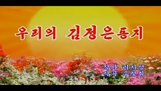 北朝鮮カラオケシリーズ 「私たちの金正恩同志 (우리의 김정은동지)」 日本語字幕付き