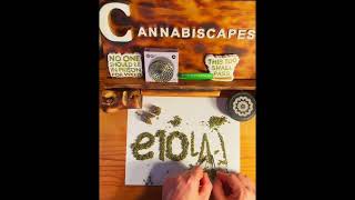 E10 Labs x Cannabiscapes