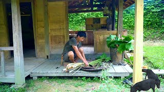 Wild boar farm, wild chicken, provides a great breakfast for two piglets - Forest life