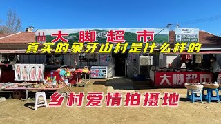 赵本山花巨资打造的象牙山村，进村门票50元，看看里面啥样的？