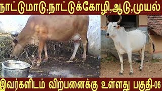 நாட்டுமாடு,நாட்டுக்கோழி ,காடை,முயல்   போன்றவை விற்பனைக்கு உள்ளது பகுதி -06