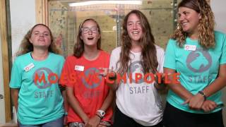 Meet the Interns 2017