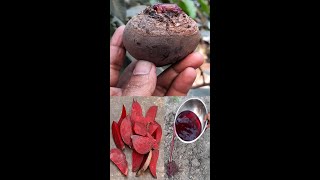 Use beetroot as natural fertilizer | Organic fertilizer for any plants#Shorts