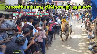 🔥வாணியாம்பாடி திரௌபதி அம்மா 💥 ஆம்பூர் A கஸ்பா வீதியில்